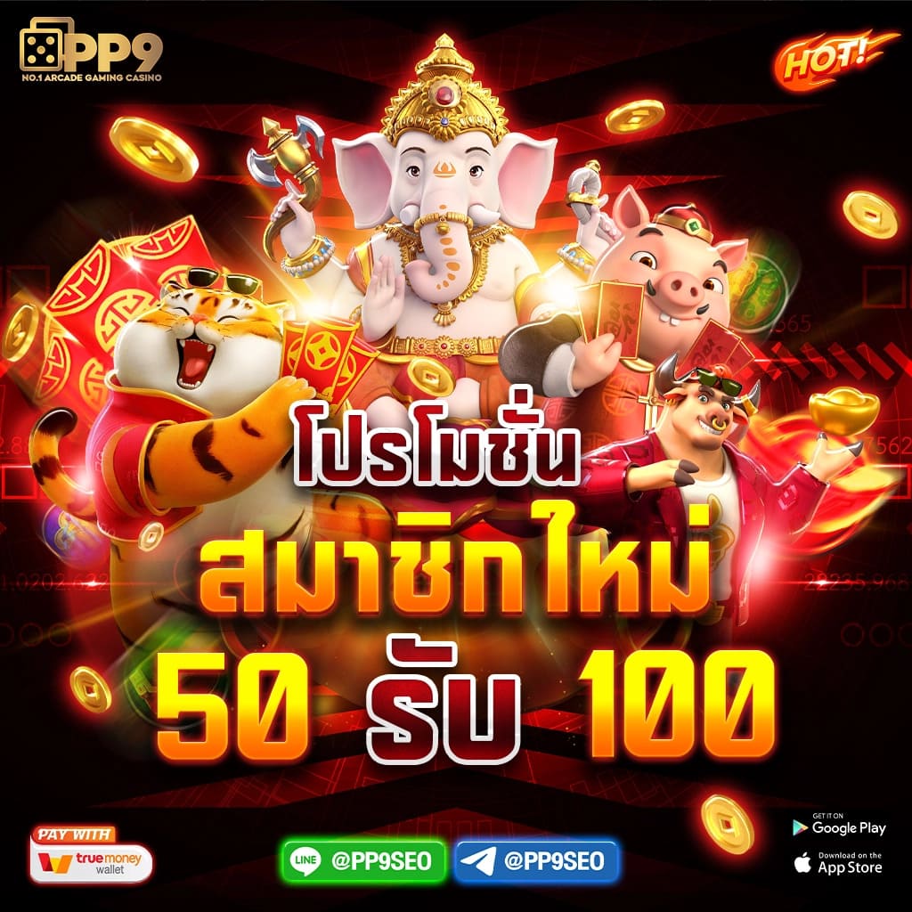 Betflixspin เว็บสล็อตใหม่ล่าสุด รวมเกมยอดนิยมตลอดปี 2024