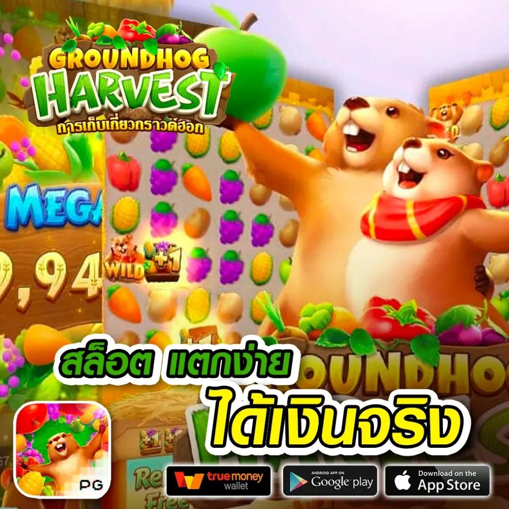 ทางเข้า sbobet ใหม่ล่าสุด เว็บตรง ระบบทันสมัย ปลอดภัยมั่นใจ