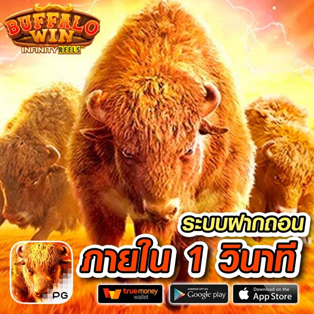 สล็อต สัตว์ ค่ายดัง รวมเกมใหม่ โบนัสแน่น ตื่นตาตื่นใจทุกการเดิมพัน